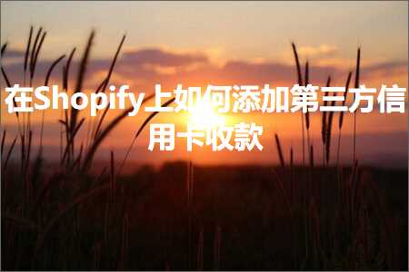 跨境电商知识:在Shopify上如何添加第三方信用卡收款