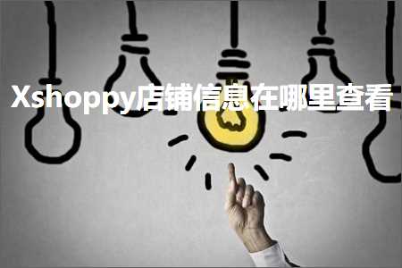 璺ㄥ鐢靛晢鐭ヨ瘑:Xshoppy搴楅摵淇℃伅鍦ㄥ摢閲屾煡鐪? width=