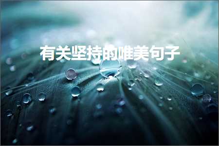 创业就业的唯美句子（文案309条）