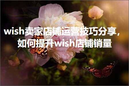 璺ㄥ鐢靛晢鐭ヨ瘑:wish鍗栧搴楅摵杩愯惀鎶€宸у垎浜紝濡備綍鎻愬崌wish搴楅摵閿€閲? width=