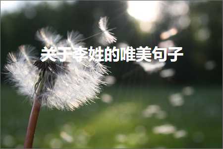 鍏充簬鏉庡鐨勫敮缇庡彞瀛愶紙鏂囨366鏉★級