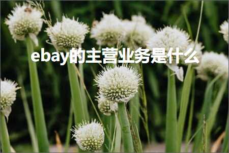 璺ㄥ鐢靛晢鐭ヨ瘑:ebay鐨勪富钀ヤ笟鍔℃槸浠€涔? width=