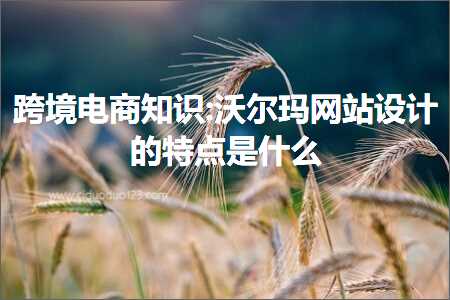 跨境电商知识:沃尔玛网站设计的特点是什么